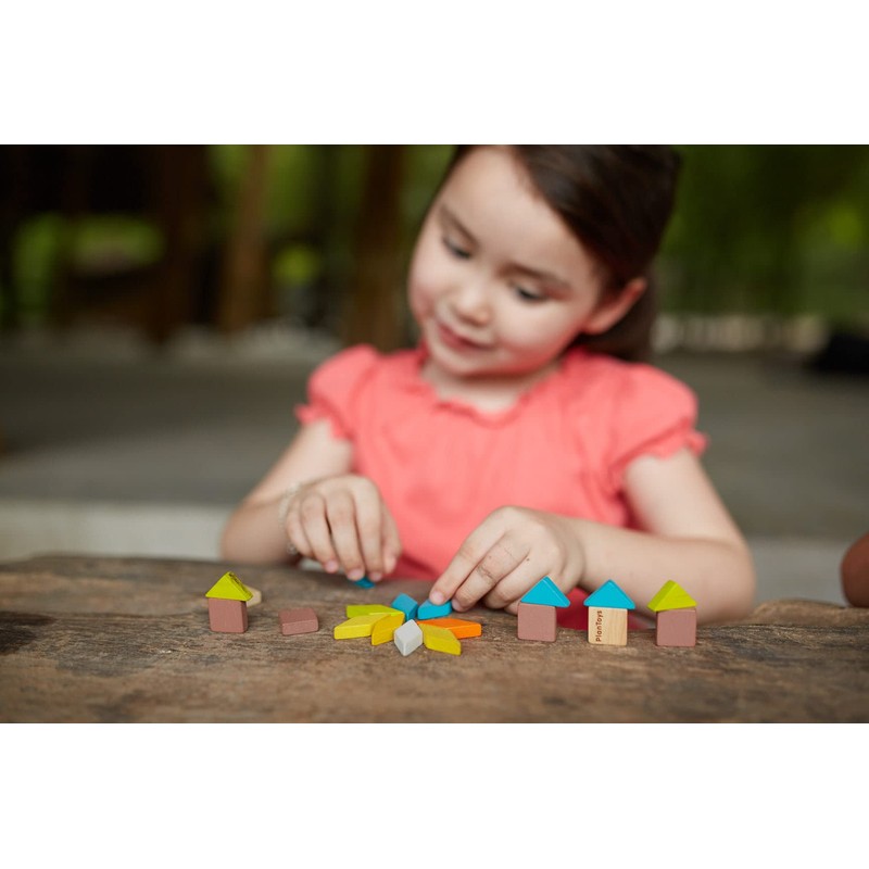 PlanToys 4131 Mosaic