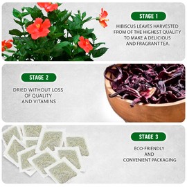 TeaDreamTea Hibiscus Tea Bags | 400 Bleach-Free Tea Bags | Caffeine Free | Dried Hibiscus Flowers | Hibiscus Flower Tea | Dried Flower Tea | Brew Hot or Iced |Herbal Hibiscus