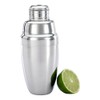 Barfly Cocktail Shaker, 17oz (500ml), Stainless