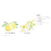 MUJI SPF27 Sunscreen Milk for Sensitive Skin, 5.1 fl oz
