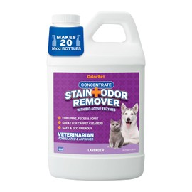 OdorPet Pet Stain Remover and Odor Eliminator - 64 Oz (Makes 2.55 Gallons of Working Solution) Non Staining, Professional Strength, Lavender Scent by Alpha Tech Pet