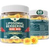 Liposomal Berberine Gummies - 500mg - Once Daily - 60 Counts - With Ceylon Cinnamon & Bitter Melon - Balanced Metabolism - Sugar-Free - Vegan