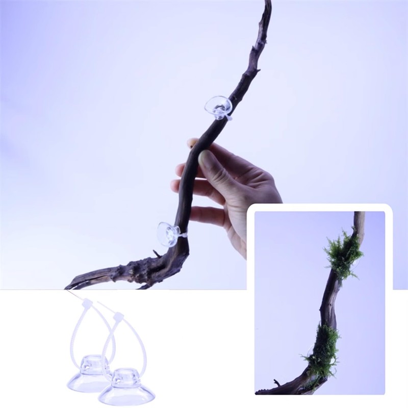 BYERUITE 20PCS Aquarium Suction Cups with 20PCS Adjustable Cable Ties
