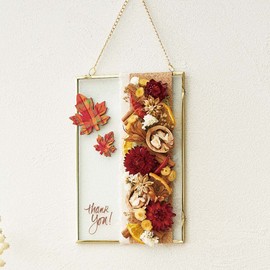 Core Trading DE018300-zzz Dried Flowers, Orange Slice, Natural Orange, Approx. Φ1.6 - 2.8 inches (4.0 - 7.0 cm), 1.7 oz (50 g)