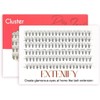 EXTENIFY 10mm Individual Lashes C Curl 10D Cluster Lashes 120pcs