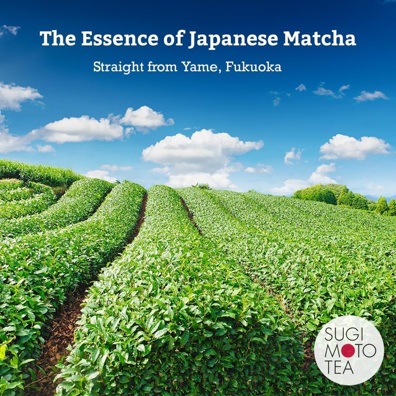 SUGIMOTO TEA Matcha Organic Ceremonial Grade Matcha Powder 1.0 oz
