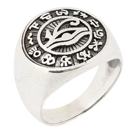 Treasure Bay 925 Sterling Silver Titanium Eyes of Ancient Egypt Rings for Men (R)
