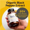 Taka Turmeric, 120 Caps Organic Turmeric with Black Pepper Extract