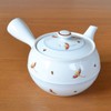 Japanese Teapot Ceramic Kyusu 14.5 fl oz Made in Japan