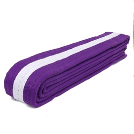 AAMA Color Belts with White Stripe for Martial Arts - Taekwondo Karate Judo - Purple Size 2