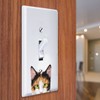 WIRESTER Single Gang Toggle Light Switch Plate/Wall Plate Cover -