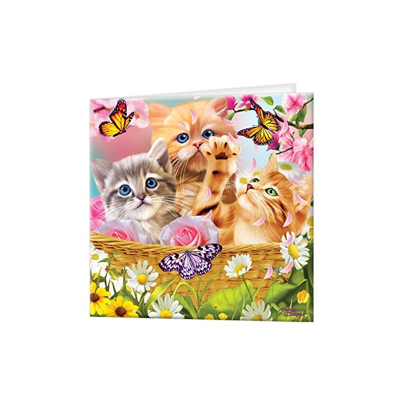 3D LiveLife Greeting Card - Kitten Fun Time from Deluxebase.