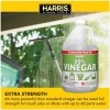 Harris 30% Vinegar Chemical-Free Concentrate & 32oz. Spray Bottle -