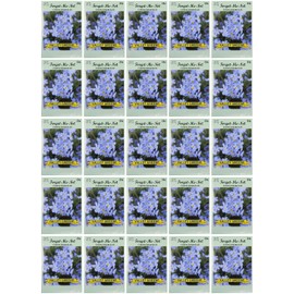 Set of 25 Packs of Forget-Me-Not Flower Seed Packets! Flower Seeds in Bulk - Great for Creating The Garden of Your Dreams! (25, Forget-Me-Not Blue)