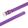 Aolove Basic Classic Padded Leather Pet Collars for Cats Puppy