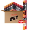 Jack Link's WILD Snack Sticks, Original and Hot Variety Pack