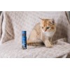 Olight Arkfeld Pro Paw Edition CW LED Light/Green Beam/UV, 1300