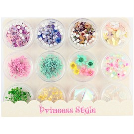 Princess-style Trend Nail & Resin Parts Aurora Film Butterfly Dried Flower Parts Set