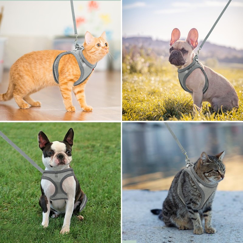 Adjustable Soft Cat Harness, Breathable Soft Mesh Puppy Harness, Reflective