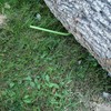 Timber Tuff 15 Foot 4,700 Pound Maximum Pulling Force Choker