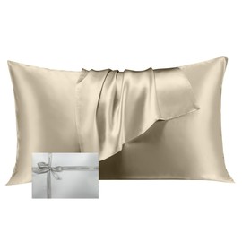 LINENOVA 100% Mulberry Silk Pillowcase for Hair and Skin, Both Sides 22 Momme Silk Queen Pillow Cover, Smooth Breathable Champagne Pillow Case with Hidden Zipper, Gifts for Women 1 Pack(50 * 75cm)
