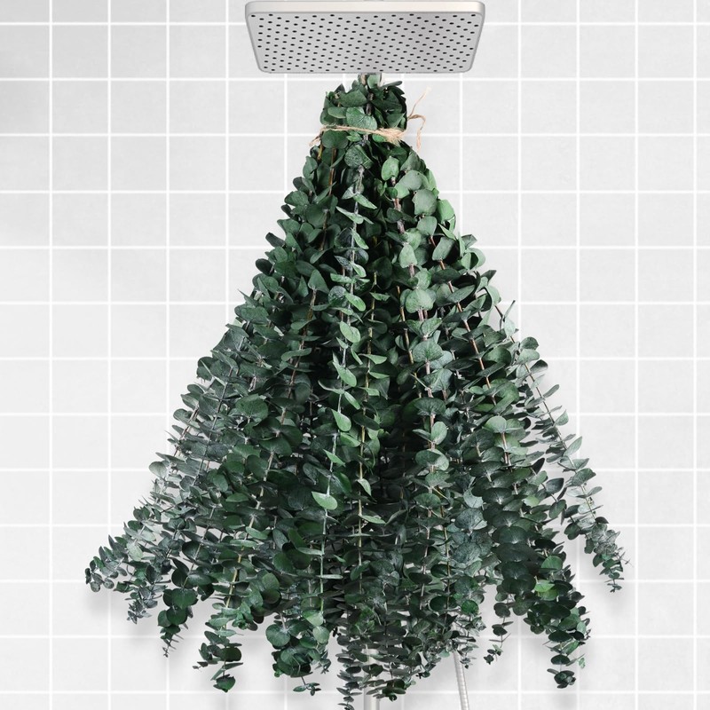 Koceko 36 Pcs Dried Eucalyptus for Shower Hanging - 17''