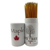 Six Tree Farm Maple Saplings, Pure State of Vermont Maple