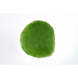 1/2 Pound Apple Green Soda Lime Silica Inlay Sand Painting 2mm &Less Fine Powder