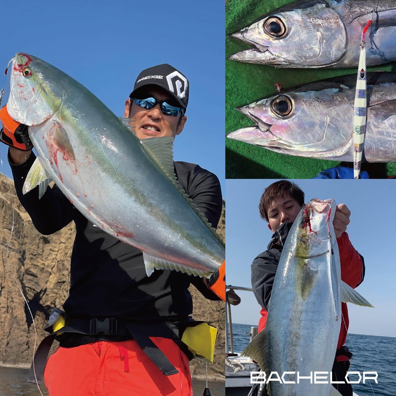 PREDGE BACHELOR BACHELOR (230g, Silver Plated)