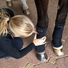 Back on Track Welltex® Scandic PK Bandaging Pads 40 x