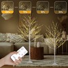 LIGHTSHARE Lighted Birch Twig Tree with Fairy Lights 2 Sets
