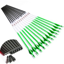 Linkboy Archery Spine 300 340 400 500 600 29inch Carbon Arrows Shaft 2" Vanes Green Recurve Compound Bow Longbow Hunting Shooting 12PCS (Spine 300 29inch)