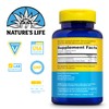 Nature's Life Renewing Magnesium 500 mg - Magnesium Citrate, Magnesium