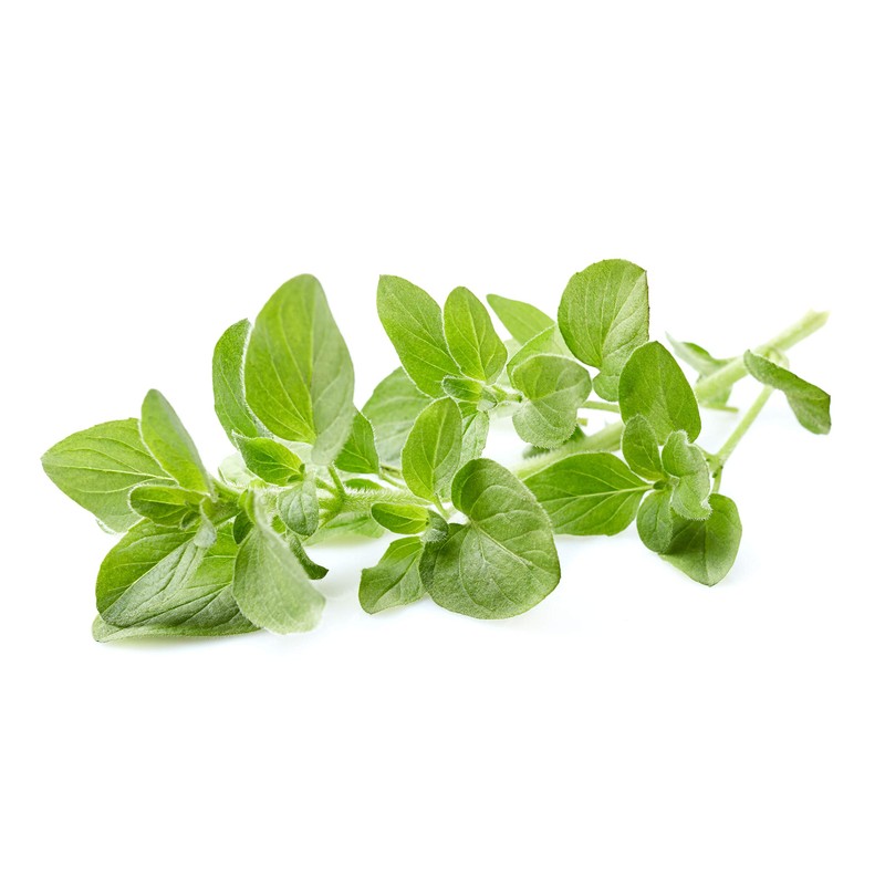 US Organic 100% Pure Oregano Essential Oil - USDA Certified