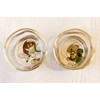 ADERIA S6226 Japanese Sake Glasses, Fujin and Thunder Sake Glass