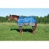 Weaver Leather Turnout Horse Blanket, Threadflare, 600D, Dazzing Blue 84"