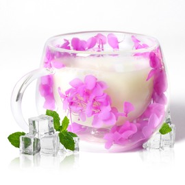 RUIOMII 300ml Getrocknete Blume Schöne Tasse, Doppelwandige Kaffeegläser mit Henkel, Geschenkideen für Frauen Schwester Mutter Ehefrau Lehrerin