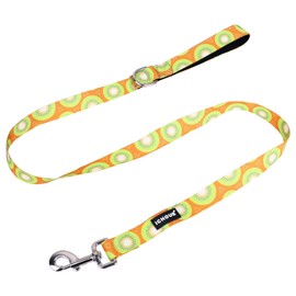 iChoue Dog Leash 4ft x 1" Comfy Padded Handle for Small Medium Large Dog Nylon Lead French English Bulldog Pug - Kiwi Fruit