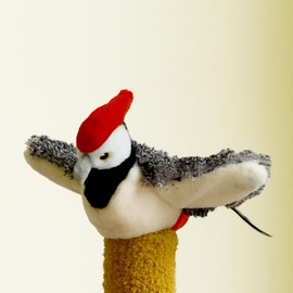 Lezod Touch Moving Pet chew, Plush, Interactive Small and Medium Pet Plush Toys USB Electric Recharge Flapping Wing Parrot Bird with Catnip Pet Chew, Plush Interactive & Movement Toys.