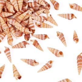 Beadthoven 100pcs Small Natural Conch Shell Mini Tiny Spiral Shells Ocean Beach Seashells for Home Decorations Shells Charm Beads for Party Decor Vase Filler Fish Tank Jewelry Making