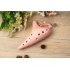 TNG Alto C-Tube Ocarina 12 Hole, Pink, With Case, Strap,