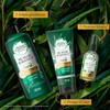 Herbal Essences Shampoo Bio Renew 6x Aloe & Sea Kelp