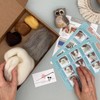 Bergin & Bath Needle Felting Kit, Owl. Make a Sweet