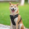 PoyPet No Pull Dog Harness, Reflective Vest Harness with 2
