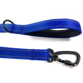 Enthusiast Gear Nylon Dog Leash with Locking Carabiner for Large and Medium Breeds – Heavy Duty Reflective Nylon Lead with Padded Handle for Everyday Walking, Running, Training – 4 Ft or 6 Ft Long