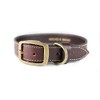 Cango Collar para Perro de Piel Hecho a Mano 100%