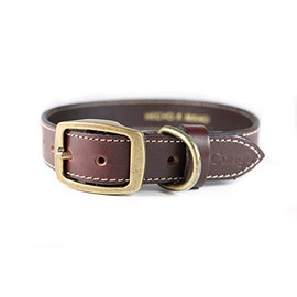 Cango Collar para Perro de Piel Hecho a Mano 100% Mexicano Lavable y Resistente (café, M)