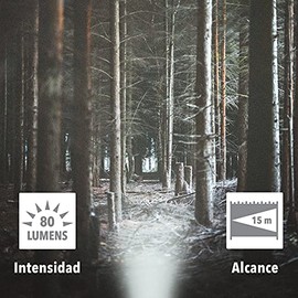 Tecnolite Paquete de 2 Linternas LED de Mano Portátil, Visión Nocturna, 15 m. de Distancia, 80 Lumens, 2 W, 4.5 VCD, Luz de Día 6 500 k, Color Negro  
