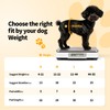 ExploreU Dog Lift Harness,Dog Sling for Medium Dog to Help