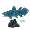 Carolata 3D Picture Book, Realistic Figure Box (Ancient Fish, 7